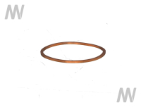 Copper ring f. antechamber