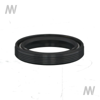 Shaft seal ring