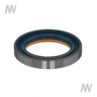 Shaft seal ring