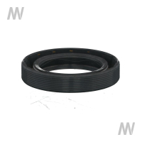 Shaft seal ring