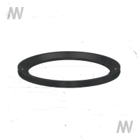 Dichtungsring