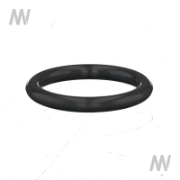 O-ring