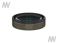 Oil seal APL330