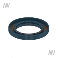 Shaft seal ring