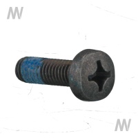 Allen screw