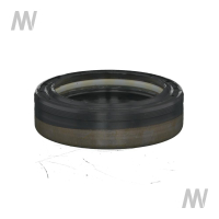 Shaft seal ring