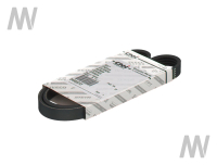 Rillenriemen 4PK - 873