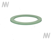 Dichtung Kraftstofffsiebfilter