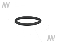 O-Ring