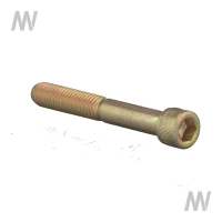 Allen screw