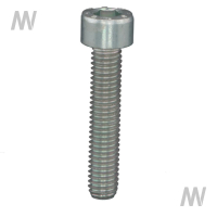 Allen screw