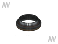 Shaft seal ring
