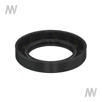 Shaft seal ring