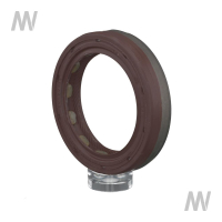 Shaft seal ring