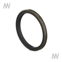 Shaft seal ring
