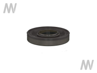 Shaft seal ring