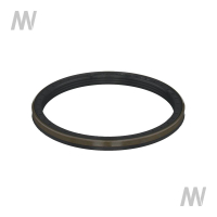 Shaft seal ring