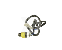 Druckschalter am Luftkessel