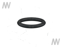 O-ring