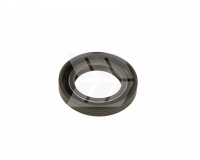 Oil seal