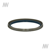 Shaft seal ring