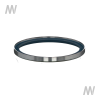 Shaft seal ring