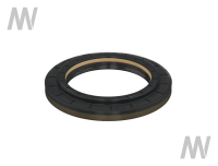 Shaft seal ring