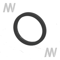 O-Ring