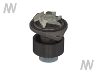 Wasserpumpe 5100 Serie