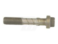 Connecting rod screw