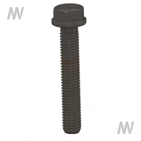 Cylinder head screw