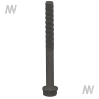 Cylinder head screw
