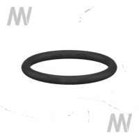 O-Ring f. Injektor