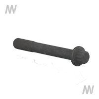 BOLT
