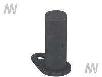 Bolzen 65x170mm