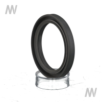 Radial Wellendichtring