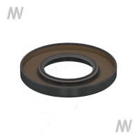 Radial Wellendichtring