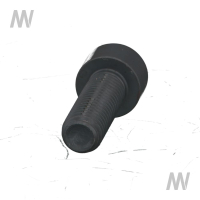2heese head screw M10x30 12.9