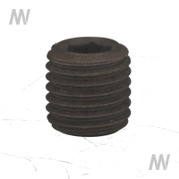Gewindestift M16x16