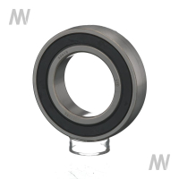 Deep groove ball bearing Ø50