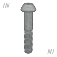 Pöttinger Schraube LIKO M12x60 10.9 GEOMET
