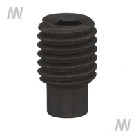 Pöttinger Gewindestift M10x16 DIN 915 45H