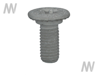 Torx screw