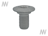 Torx screw