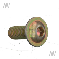 cheese head screw M6x16 A3C hexagon sock