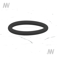 O-Ring 20,29x 2,62 FKM80