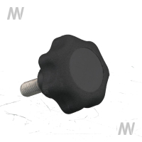 Sternknopf (M6x15 / A2-70)