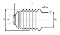 SC05/22 D149 L224 M.SHR