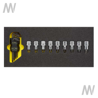 MODUL, LEER OMS-18L