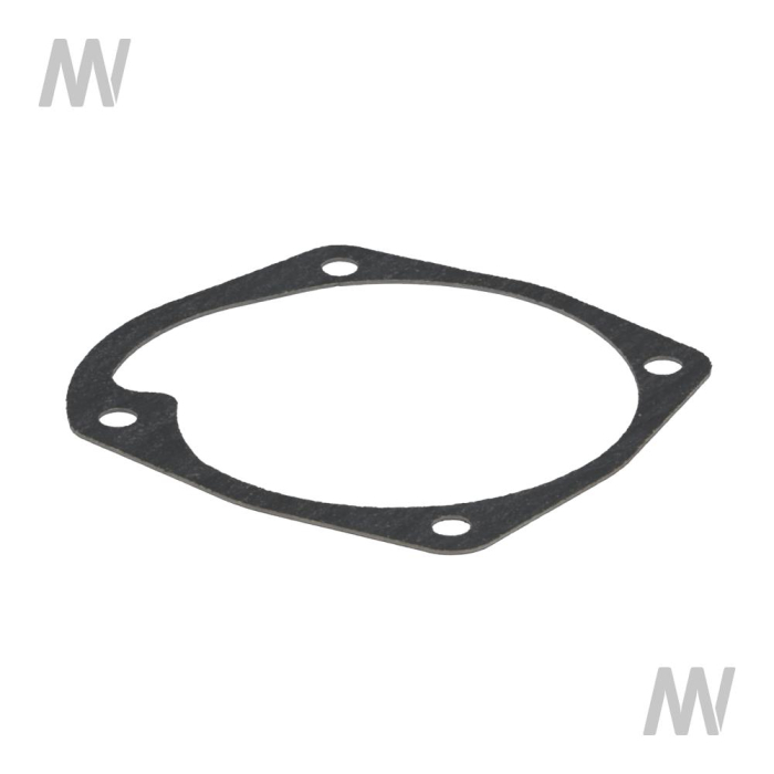 Dichtung für Wasserpumpe MWM Motor - Detail 1